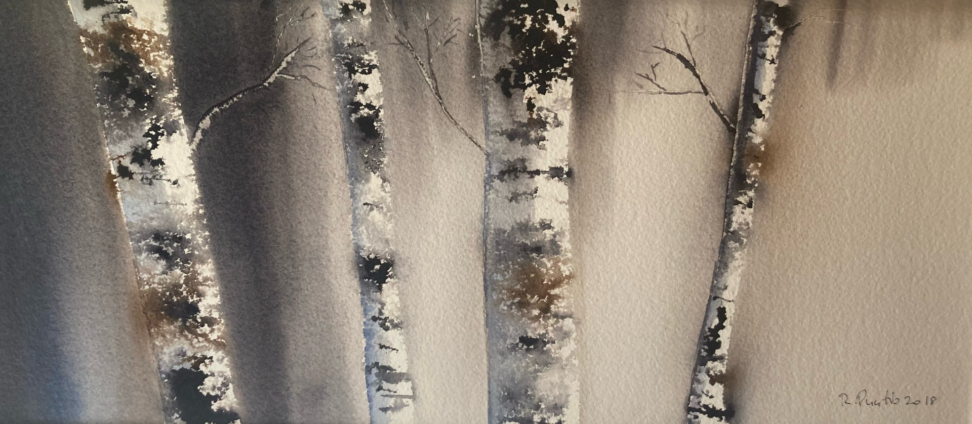 Koivut, 25 x 40 cm. Yksityiskokoelma, Private collecetion