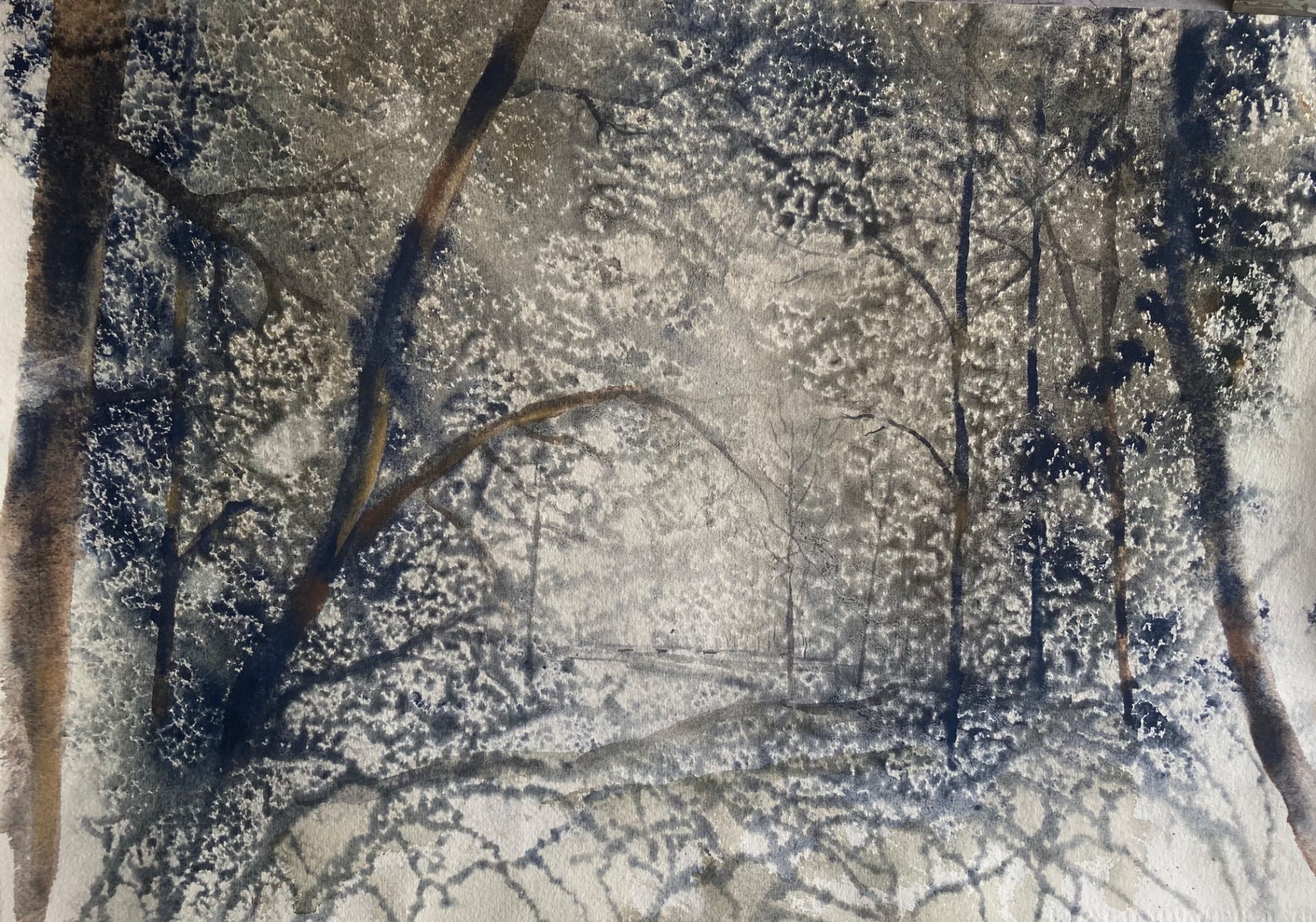 Metsän kudelmat. Forest networks. 56 x 38 cm, 400 €