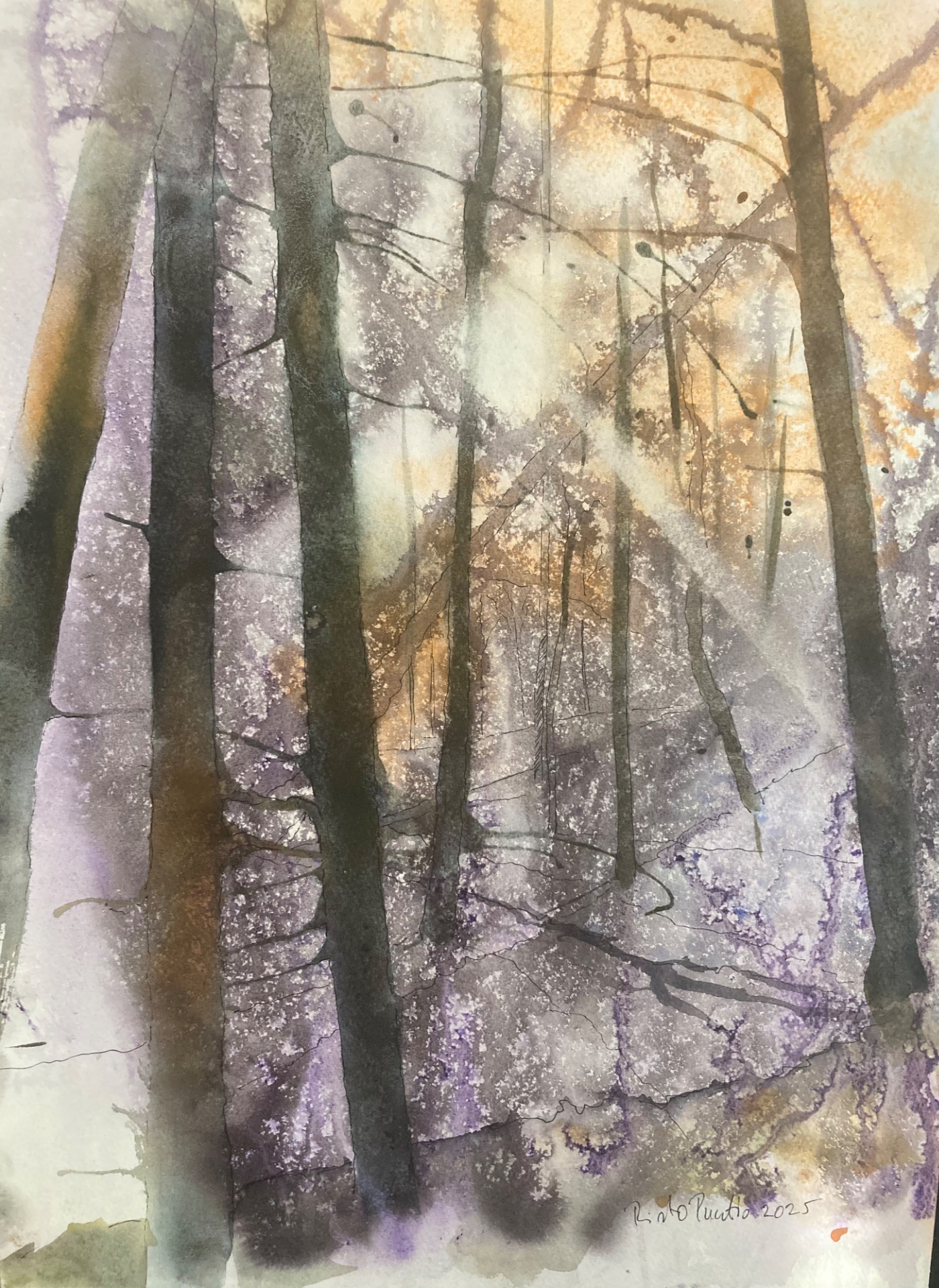 Säteet. Rays of Light. 37 x 56 cm, 400 €