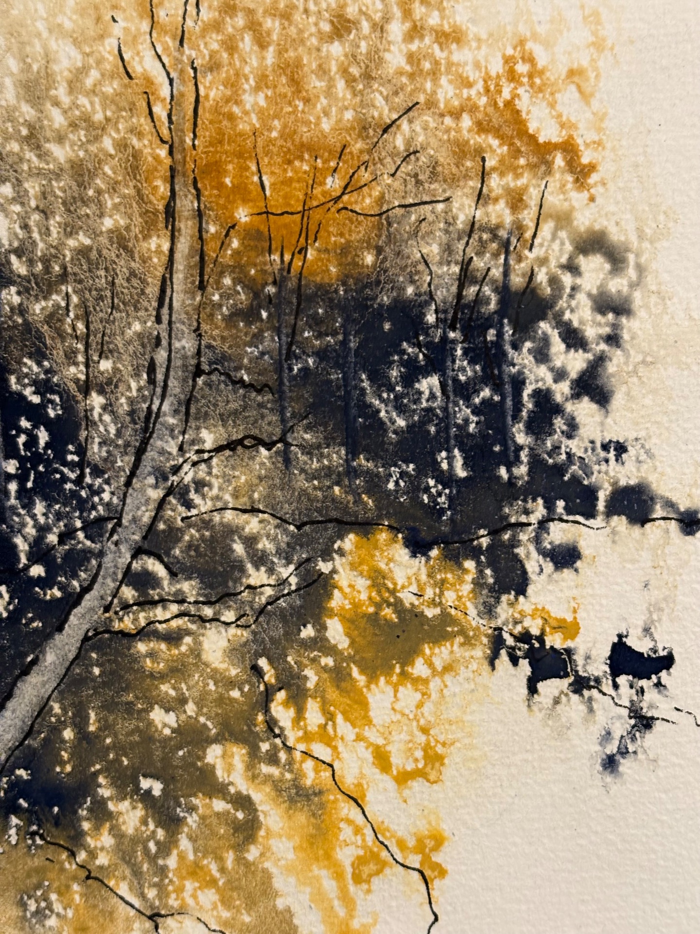 1.-30.9. 2026: Galleria Popper, Jyväskylä (yksityisnäyttely)